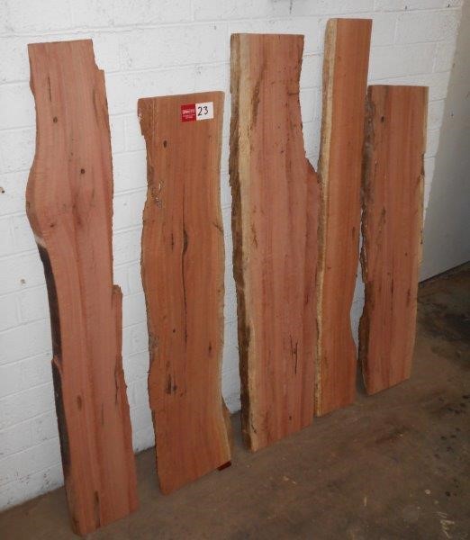 Drop Zone Shiraz 2021 (12x 750mL) Langhorne Creek