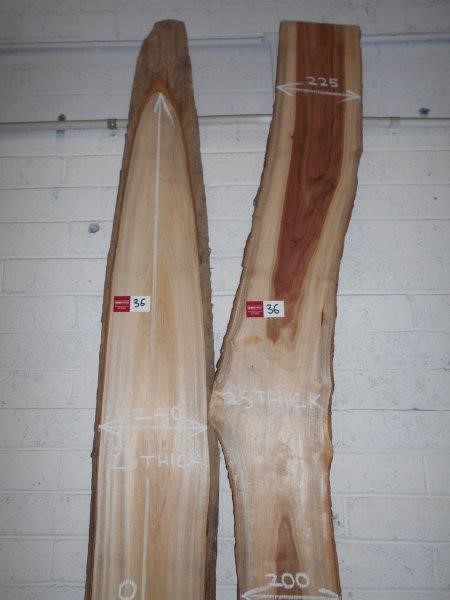 Von Rieben Shiraz 2022 (12x 750mL) South Australia