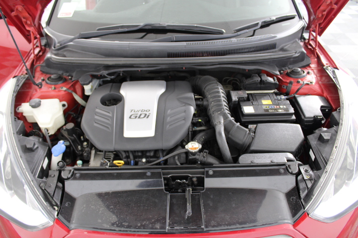 Tread Softly 'Forever Young' Sauvignon Blanc 2023 (6x 750mL) SA