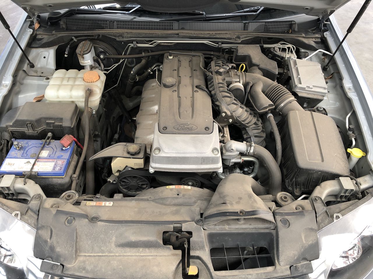 AMAZON BASICS 5.56 CM 4-Blade Push Reel Lawn Mower, Blue.