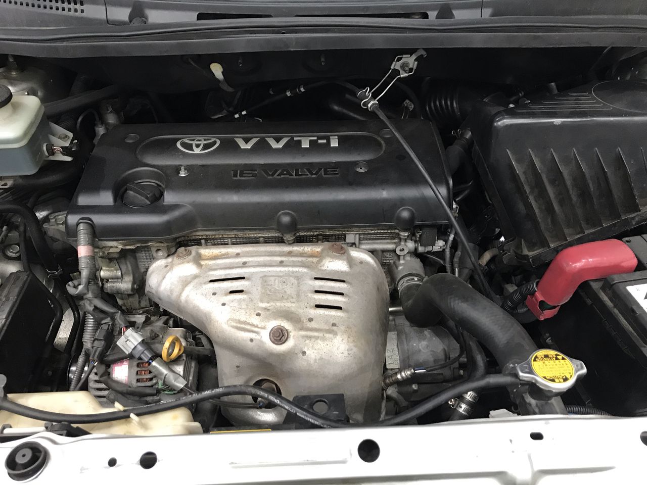 Barramundi Cabernet Sauvignon 2022 (12x 750mL) SEA