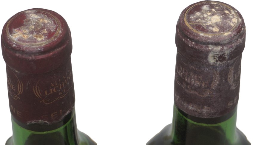 Wolf Blass Red Label Cabernet Sauvignon (6x 750mL).