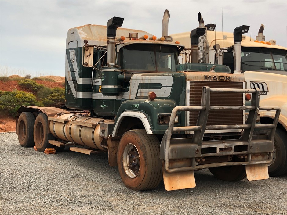 3 X GINGER RAY Botanical Wedding Artificial Foliage Tile, 40 X 60 cm