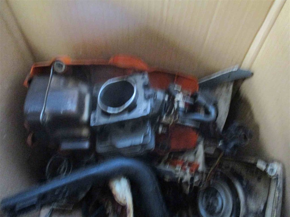 Waterproof  Watch Barrel Shaped Transparent Red Color Quartz Watch Popular