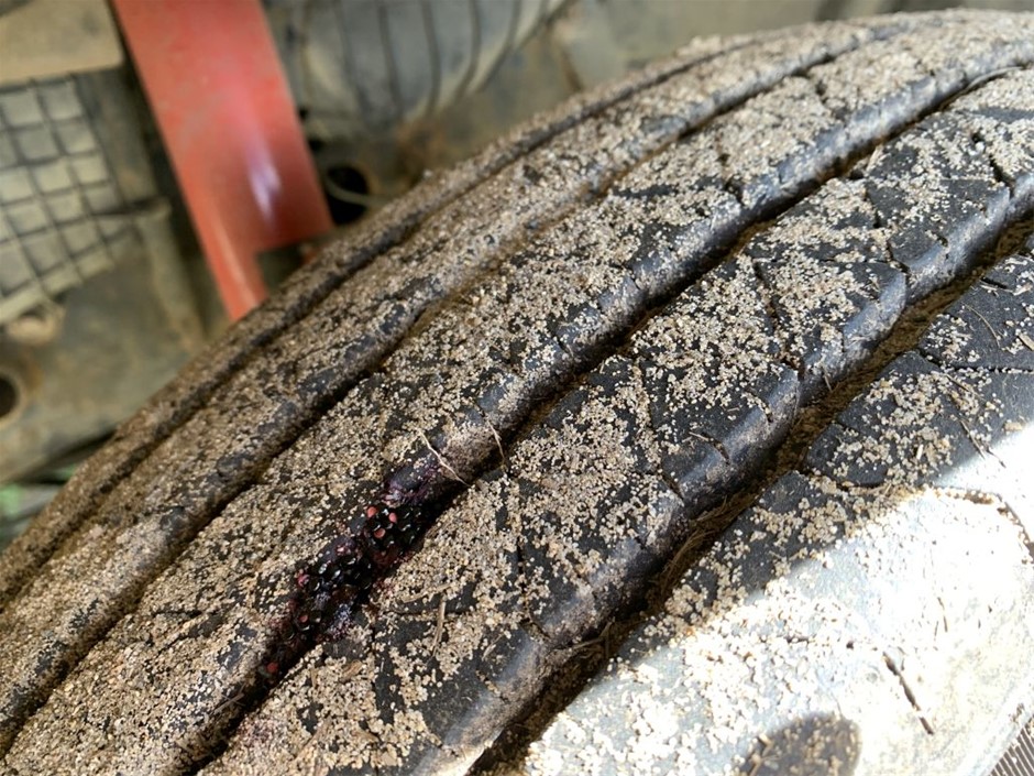 0.31ct GRA Certified Moissanite 925 Silver Tennis Bracelet