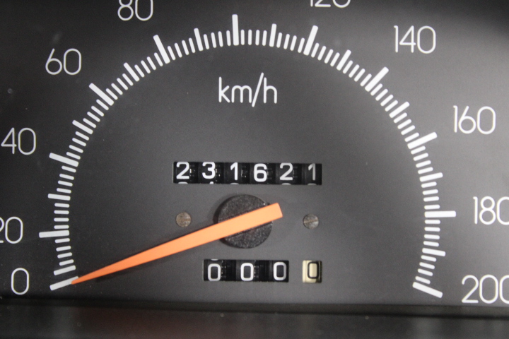 1/10 Oz 999.5 Silver Brumby 2025 Australian Bullion Merchants Round