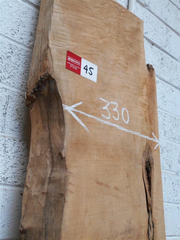 Fossil Tree Merlot 2022 (12x 750mL) SA