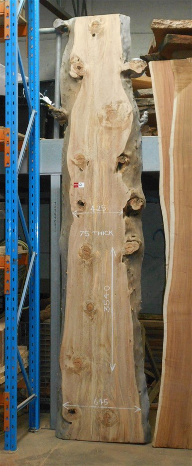 Wayville Estate Cabernet Sauvignon  (12 x 750mL), SE AUS.