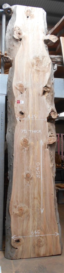 Wirra Wirra Mrs Wigley Rosé 2025 (6 x 750mL) McLaren Vale, SA