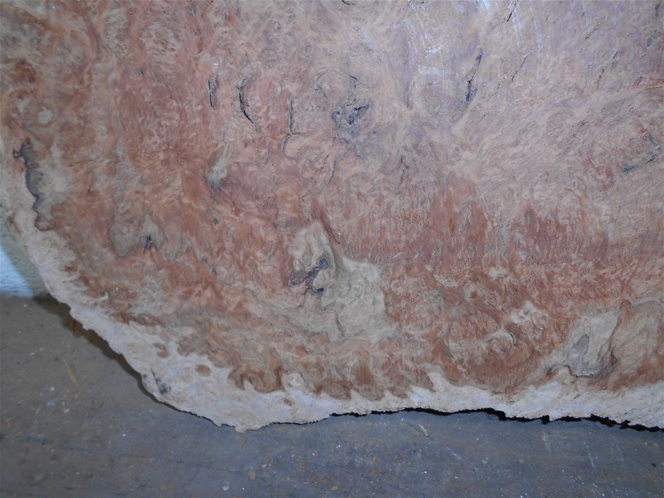 Pierre Delize Blanc De Blancs Brut NV (6x 750mL), France.