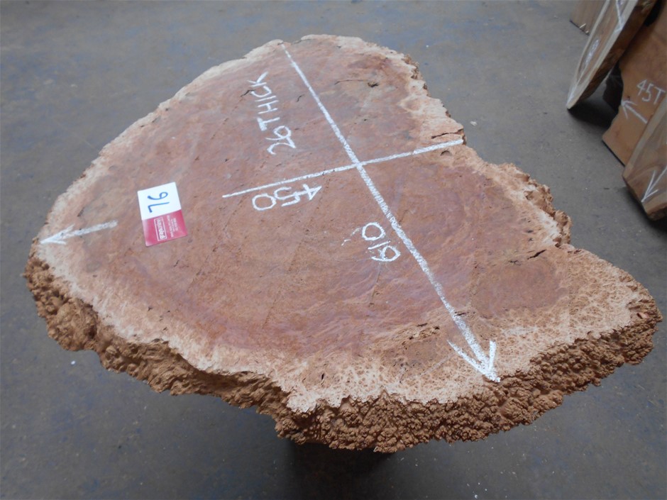 Pioneers First Patch Tempranillo 2024 (12x 750mL) SA