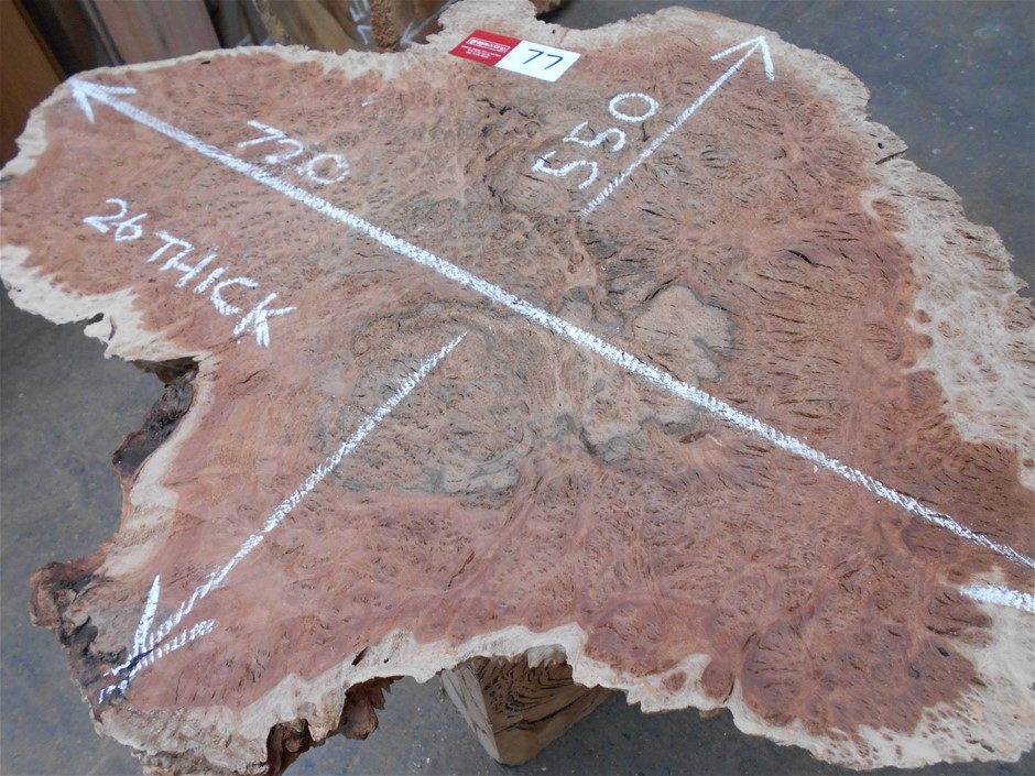 Rawson's Retreat Merlot (6x 750mL), SA.