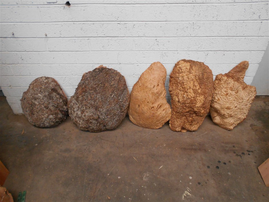 Trig Station Pinot Gris 2024 (12x 750mL) NZ