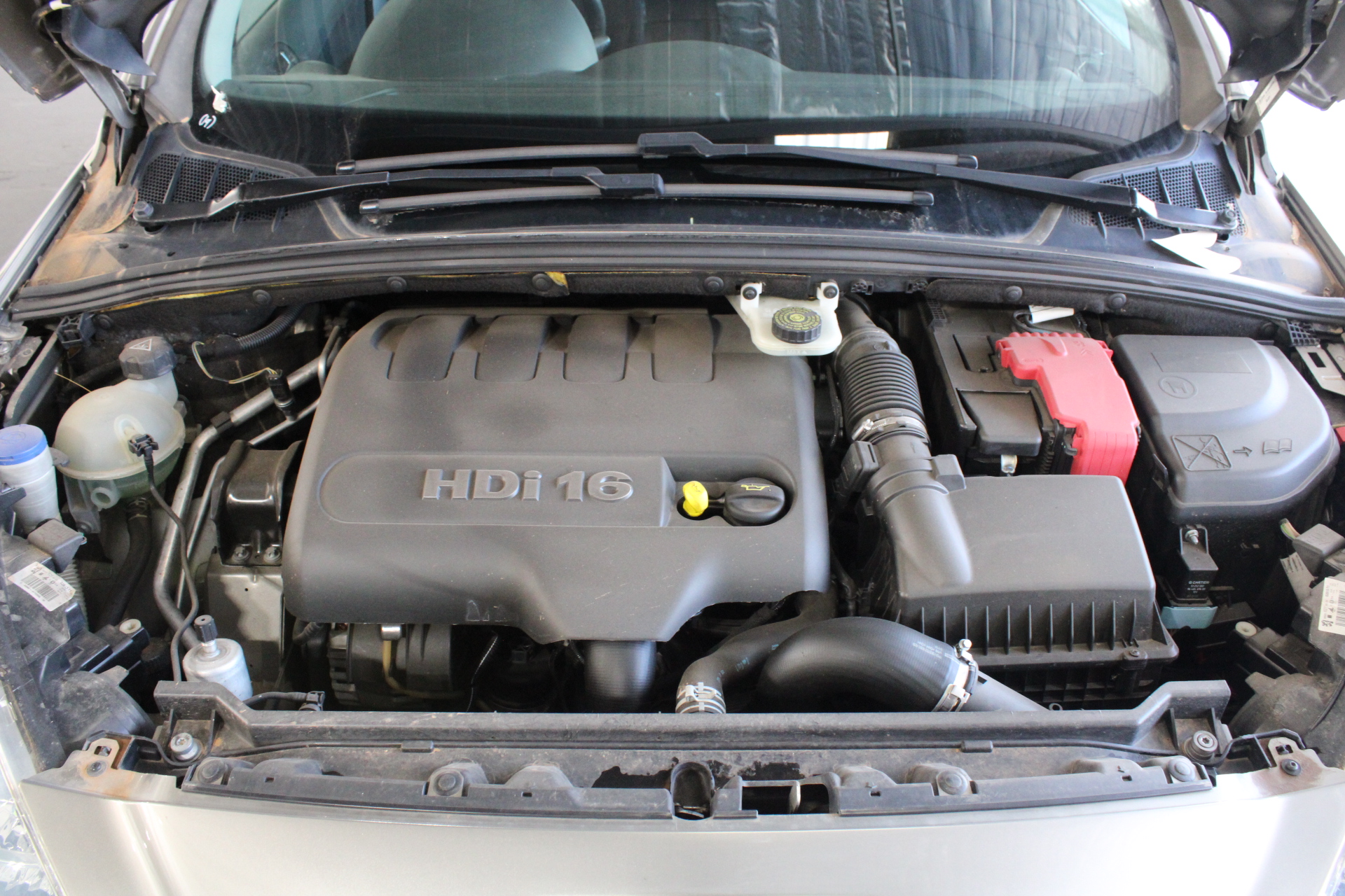 Bleasdale Sparkling Shiraz NV (6x 750mL), Langhorne Creek, SA.