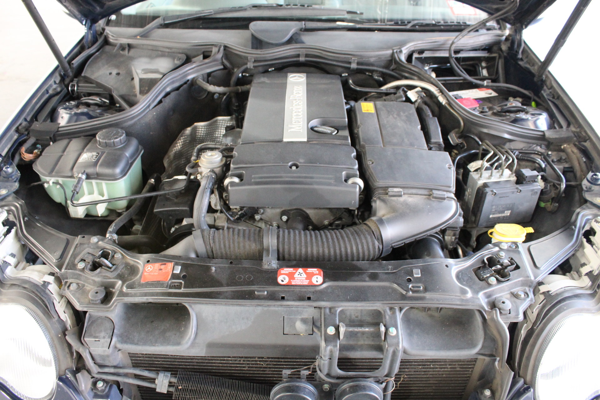 The Drover Pinot Grigio 2025 (12x 750mL) SEA