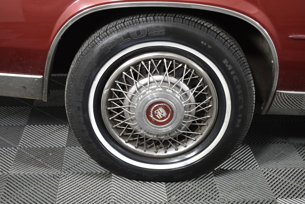 Fishbone Black Label Cabernet Sauvignon 2021 (6x 750mL) WA