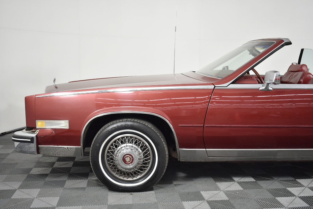 Hazelview Cabernet Sauvignon 2024 (12x 750mL) McLaren Vale