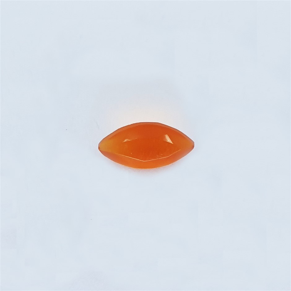 2025 Forklift Jib (Unused)