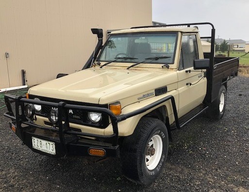 The Drover Pinot Grigio 2025 (12x 750mL) SEA