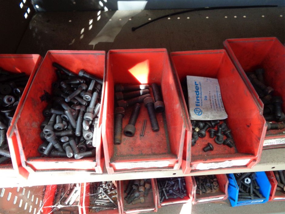 Children's Timber Pilates Reformer (Big)