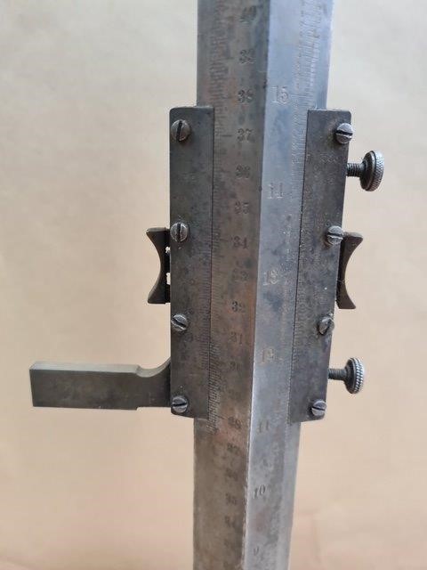 7pc USD 1 2 5 10 20 50 100 Dollar Bill Gold Foil Banknote