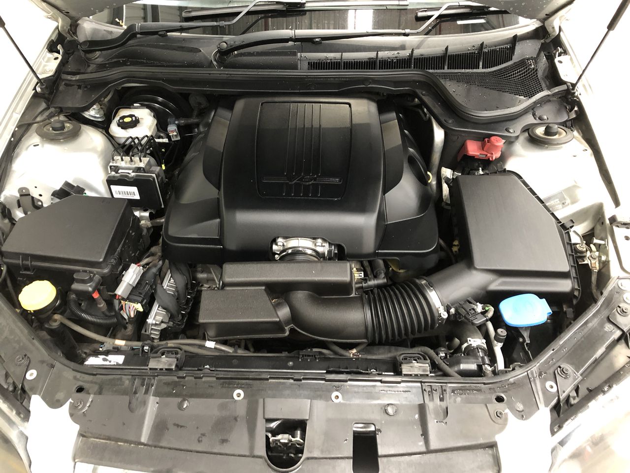 Fishbone Blue Merlot 2022 (6x 750mL) Margaret River