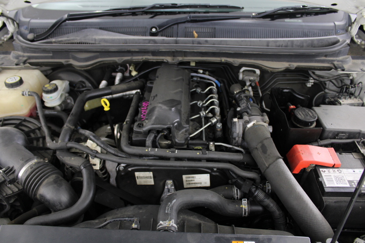 Casella Limited Release Cleanskin Cabernet Sauvignon 2013 (12x 750mL) SA