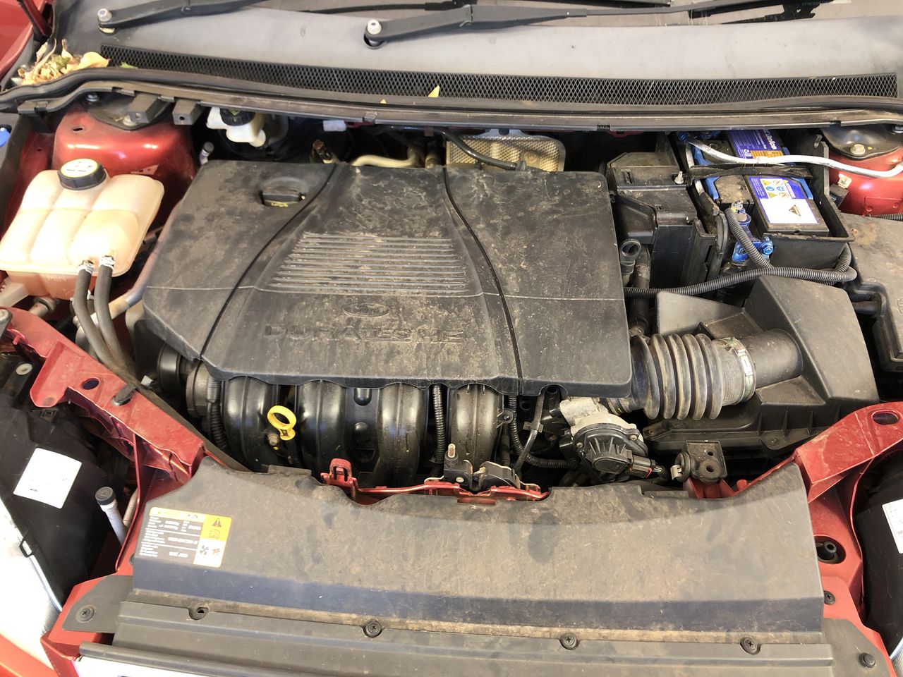 6 -10mm Flower Jade, Regalite & Baroque Pearl Pendant Charm Necklace.