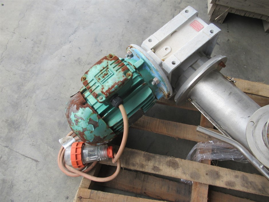 Younger Days Fiano 2025 (12x 750mL), VIC.