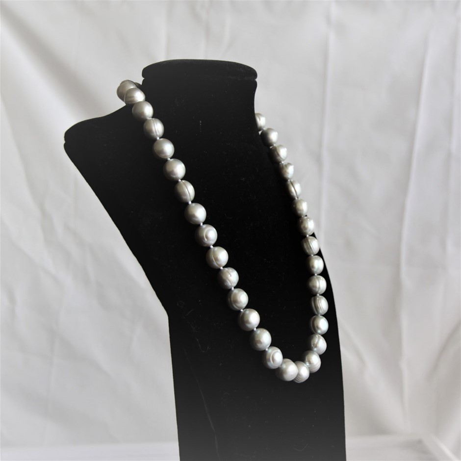 First Light Sparkling Pinot Gris NV (12x 750mL) NZ