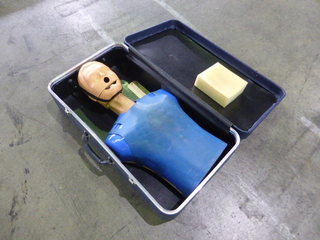 Hazelview Cabernet Sauvignon 2024 (12x 750mL) McLaren Vale