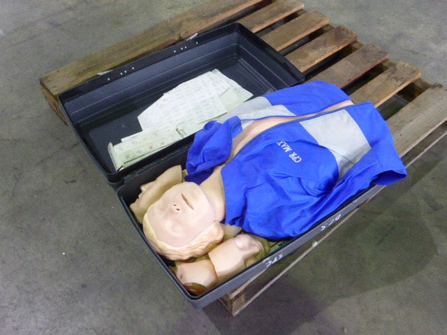 Barramundi Cabernet Sauvignon 2022 (12x 750mL) SEA