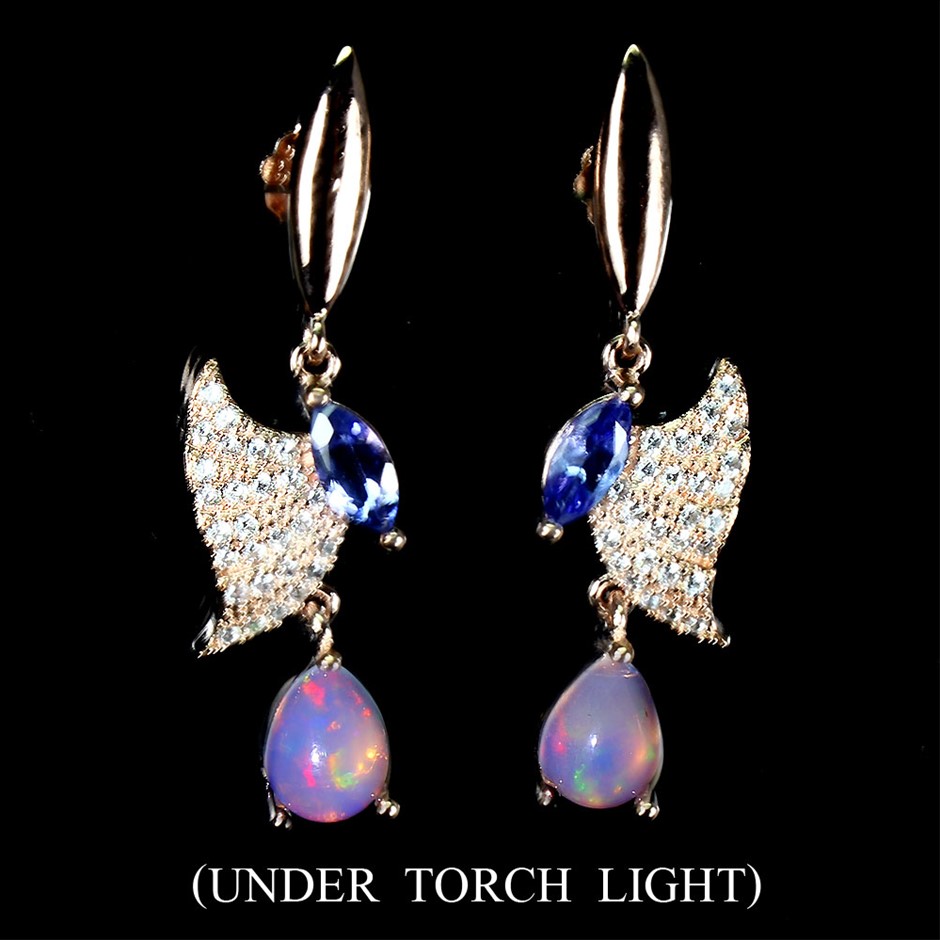 Von Rieben Shiraz 2022 (12x 750mL) South Australia