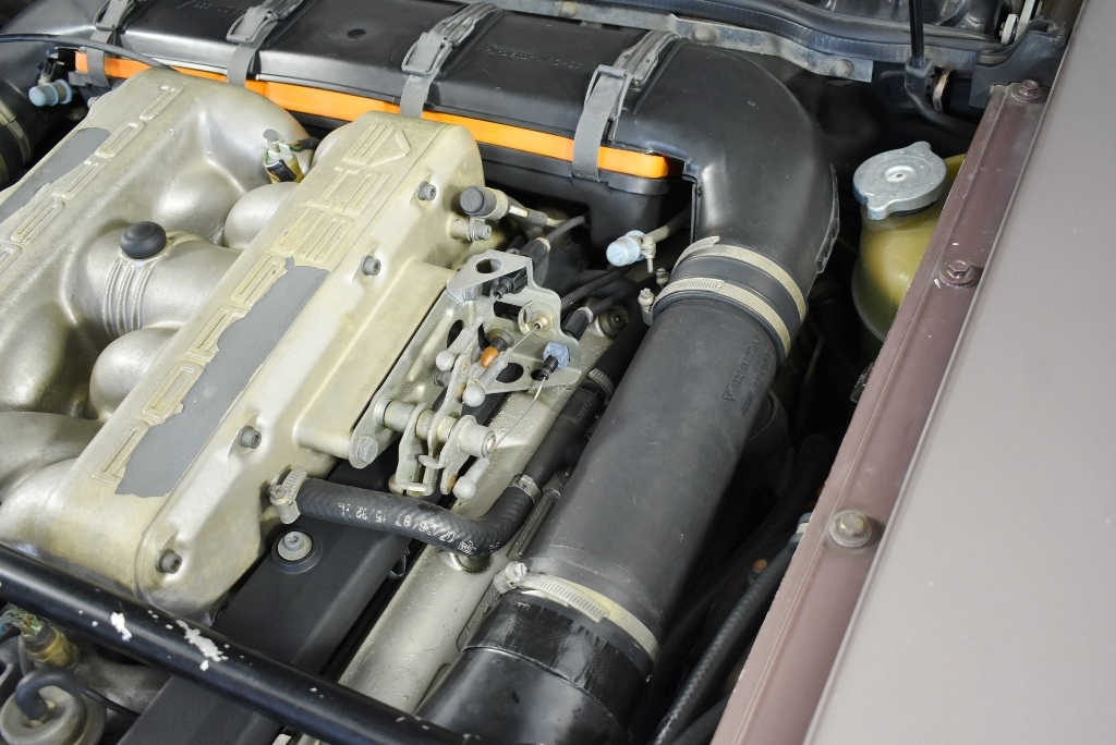 Lost Sheep Chardonnay 2025 (12x 750mL) SEA