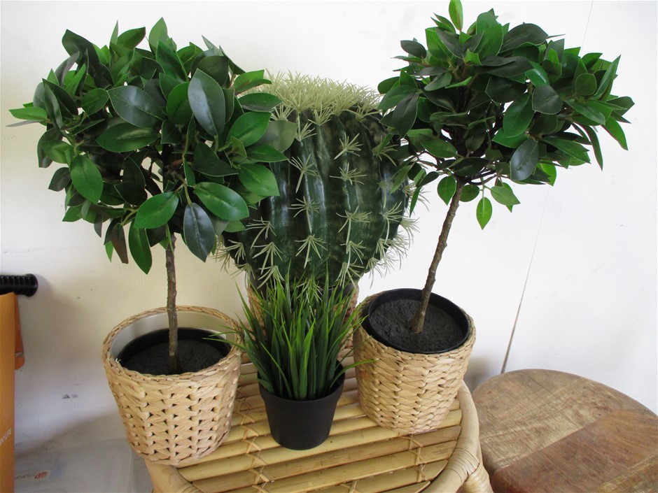 Stalking Horse Pinot Grigio 2025 (12x 750mL) Langhorne Creek