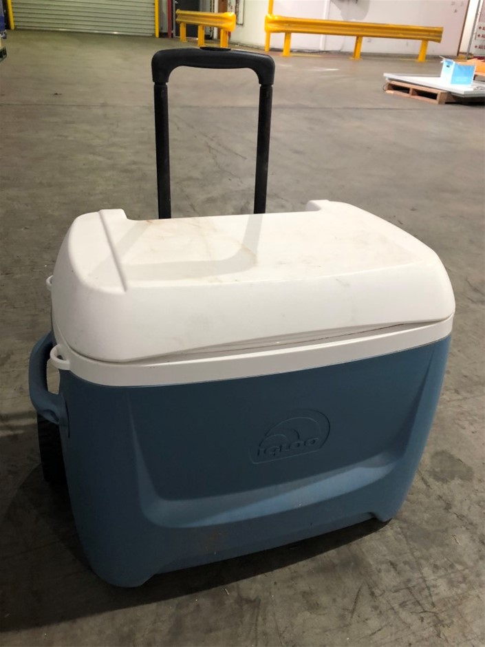 2 Packs Of 1000 POWER 35mm PVC Framed Wall Plugs, White.