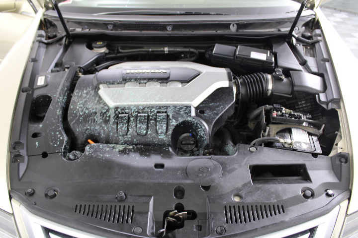 Little Giant Pinot Noir (6x 750mL).