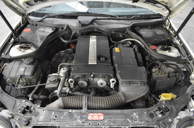 7-8mm & Blister Pearl with Gold Trimming Beaded Necklace