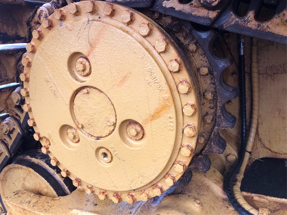 CHAMPION Women's Sporty Crew, Size XL, Cotton/Polyester, Print J2H (White),