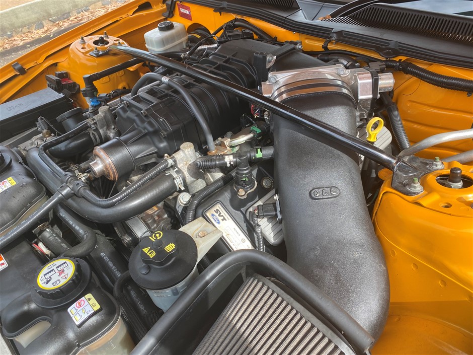 7-8mm White Pearls & Gold Plated Rhinestone Necklace.