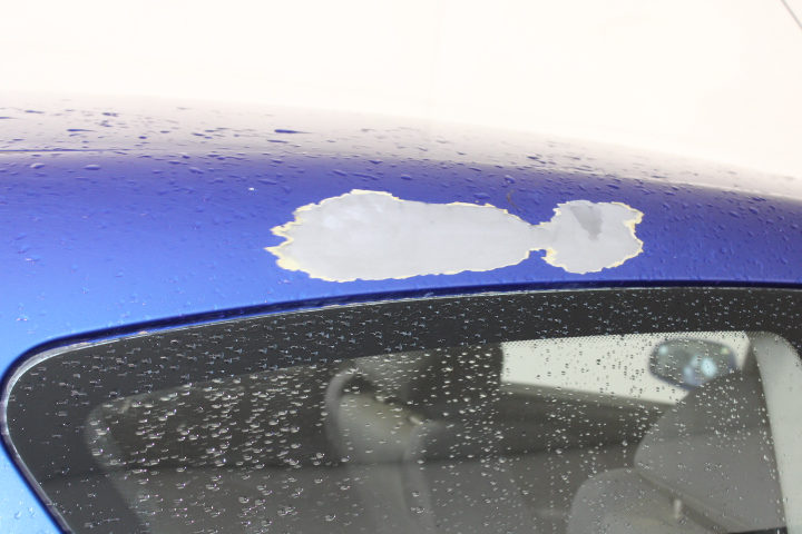 Stalking Horse Cabernet Sauvignon 2021 (12x 750mL) Langhorne Creek, SA