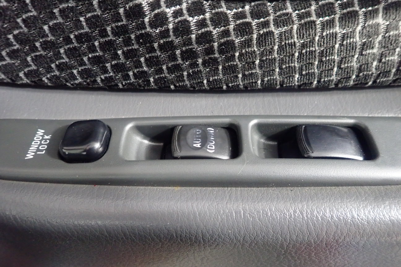 Fossil Tree Merlot 2022 (12x 750mL) SA