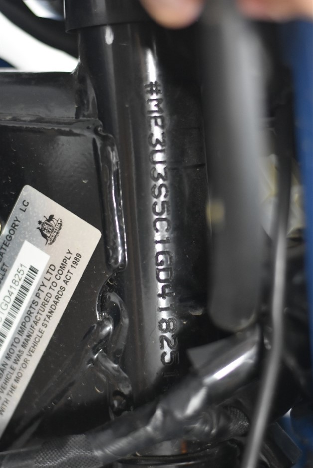 12ft Storage Container (Unused)