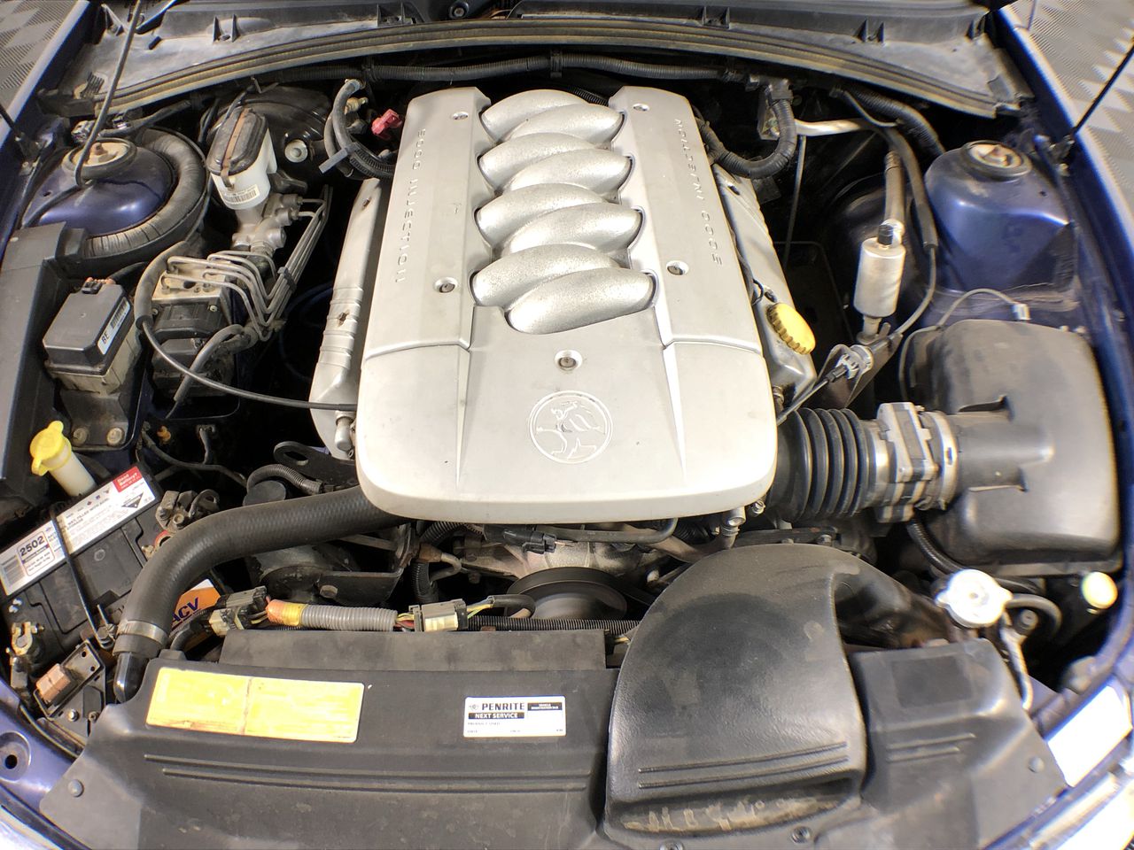 KEENRAY Masticating Juicer Machine for Whole Fruits and Vegetables, Cold Pr