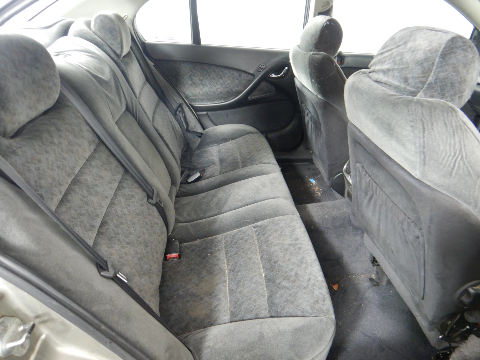 Stalking Horse Sauvignon Blanc 2024 (12x 750mL) Langhorne Creek, SA