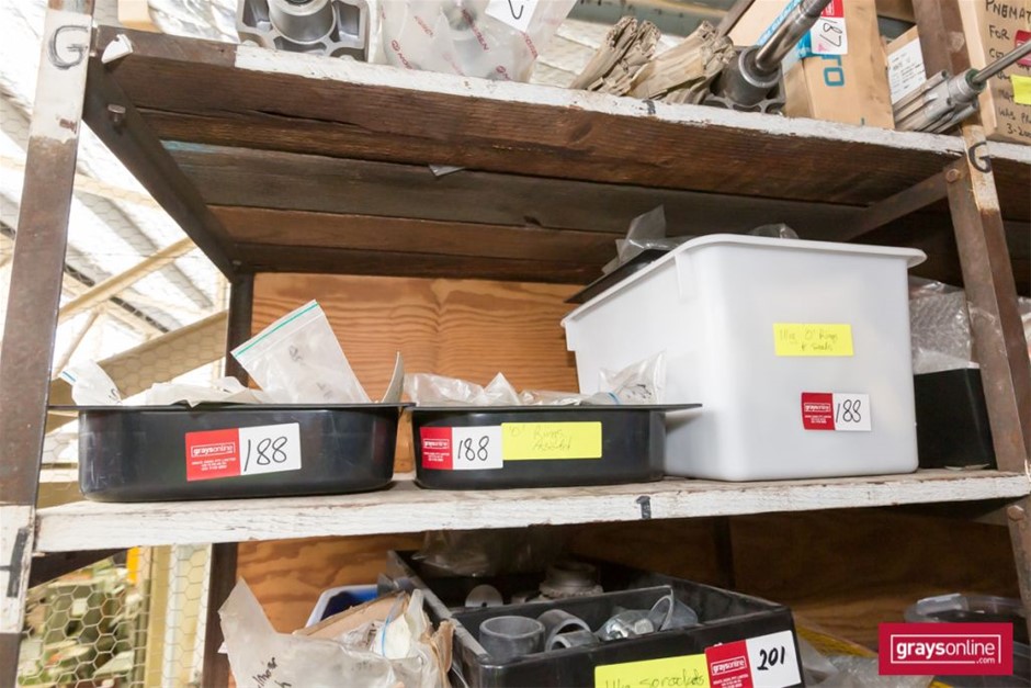 Pioneers First Patch Tempranillo 2024 (12x 750mL) SA