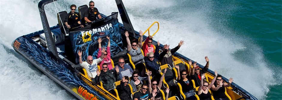 Stalking Horse Pinot Grigio 2025 (12x 750mL) Langhorne Creek