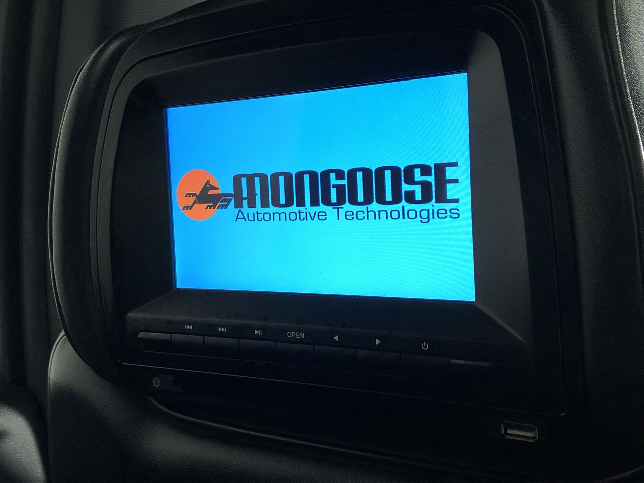 Designer Black & Leopard Print Statement Necklace