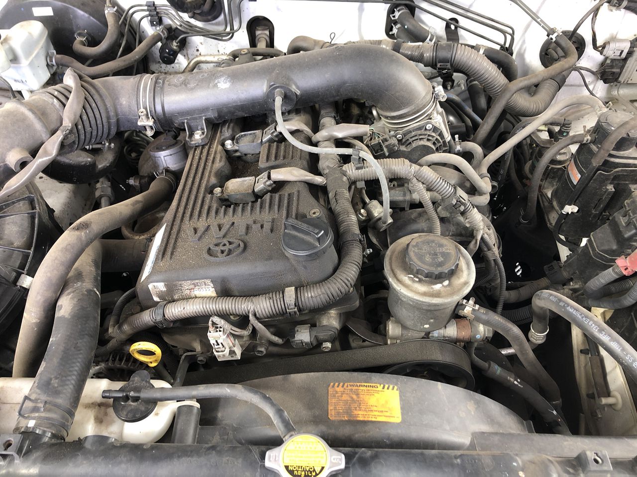 8mm Amazonite & Antique Gold Buddha Charm Beaded Bracelet