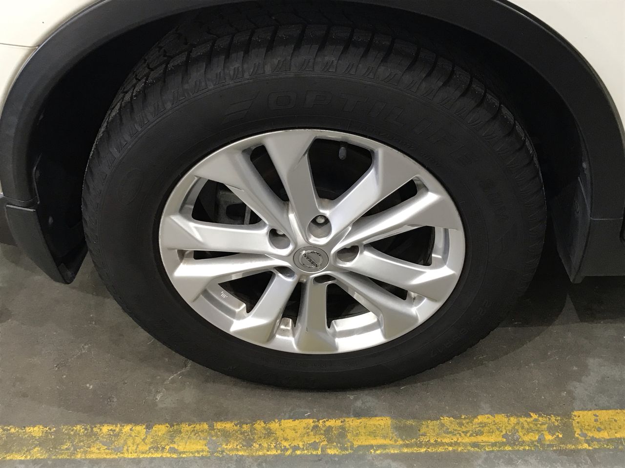 Elefante `El Valiente` Organic Tempranillo 2023 (6x 750mL) Coonawarra